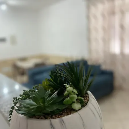 La Casa Di Noah *
